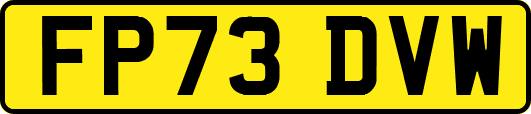 FP73DVW