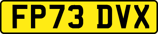 FP73DVX