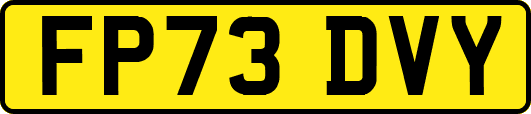 FP73DVY