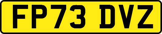 FP73DVZ