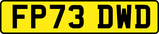FP73DWD