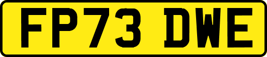 FP73DWE
