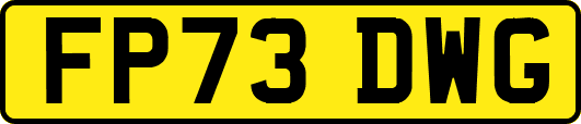 FP73DWG
