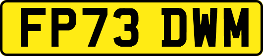 FP73DWM