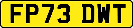 FP73DWT