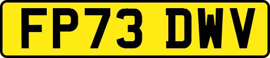 FP73DWV