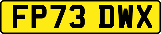 FP73DWX
