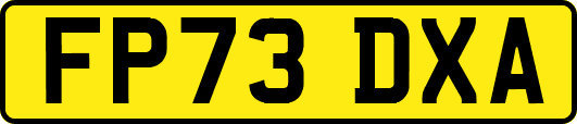 FP73DXA