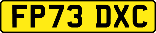 FP73DXC