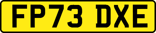 FP73DXE