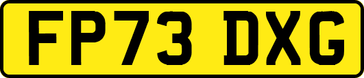 FP73DXG