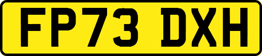 FP73DXH
