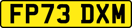 FP73DXM