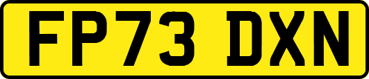 FP73DXN