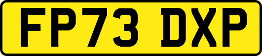 FP73DXP
