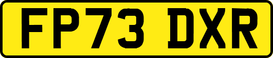 FP73DXR