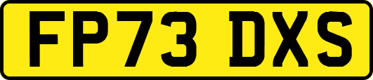 FP73DXS