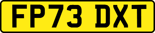 FP73DXT