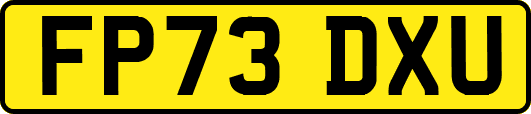 FP73DXU