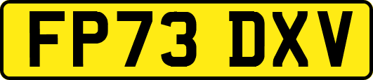 FP73DXV
