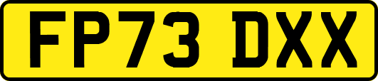 FP73DXX