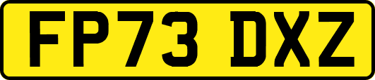 FP73DXZ