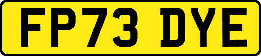 FP73DYE
