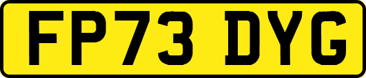FP73DYG