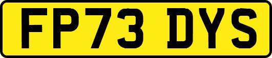FP73DYS