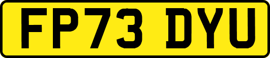 FP73DYU
