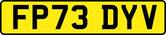 FP73DYV