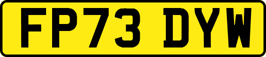 FP73DYW
