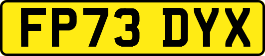 FP73DYX