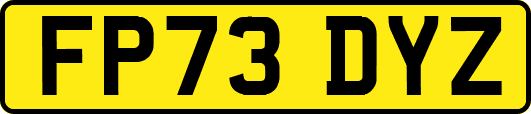 FP73DYZ
