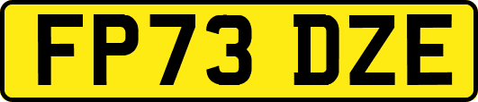 FP73DZE