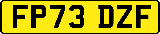 FP73DZF
