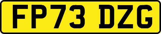 FP73DZG