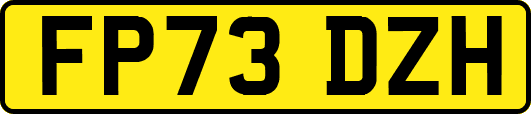 FP73DZH