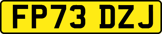 FP73DZJ