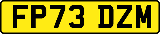 FP73DZM