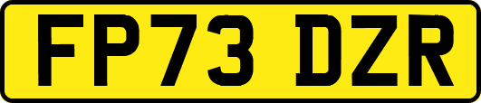 FP73DZR