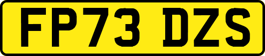 FP73DZS