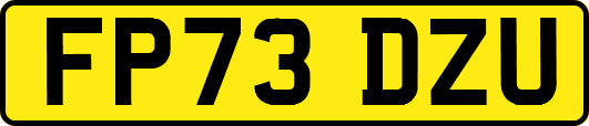 FP73DZU