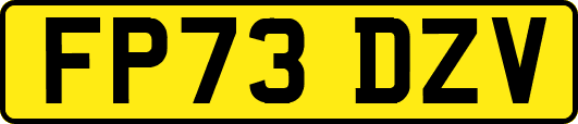 FP73DZV