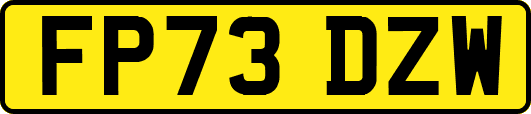 FP73DZW