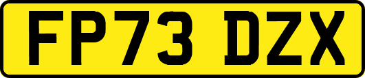 FP73DZX