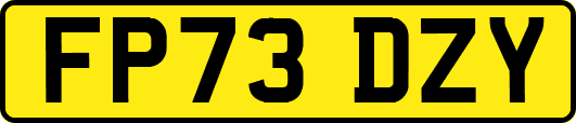 FP73DZY