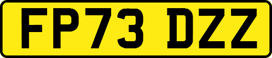 FP73DZZ