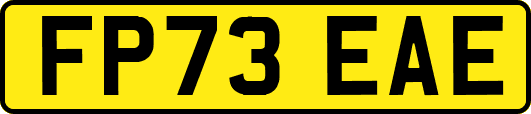 FP73EAE