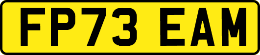 FP73EAM